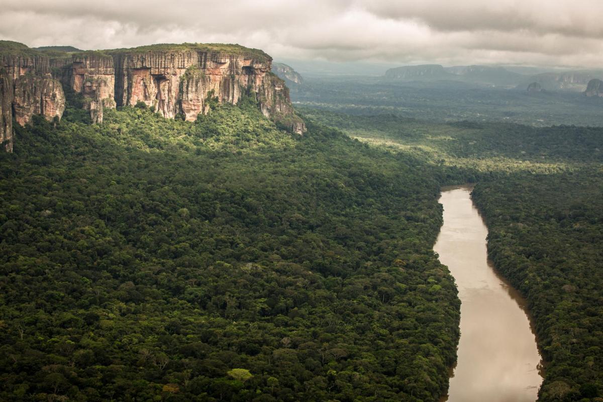 Amazzonia, Paesi sudamericani alleati contro la deforestazione