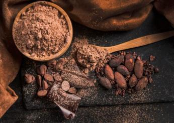 Il cacao può aiutare a diminuire la pressione sanguigna e il colesterolo cattivo