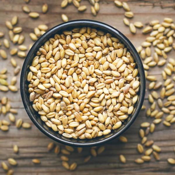 È meglio mangiare il farro al posto del grano? Ecco i vantaggi di questo cereale