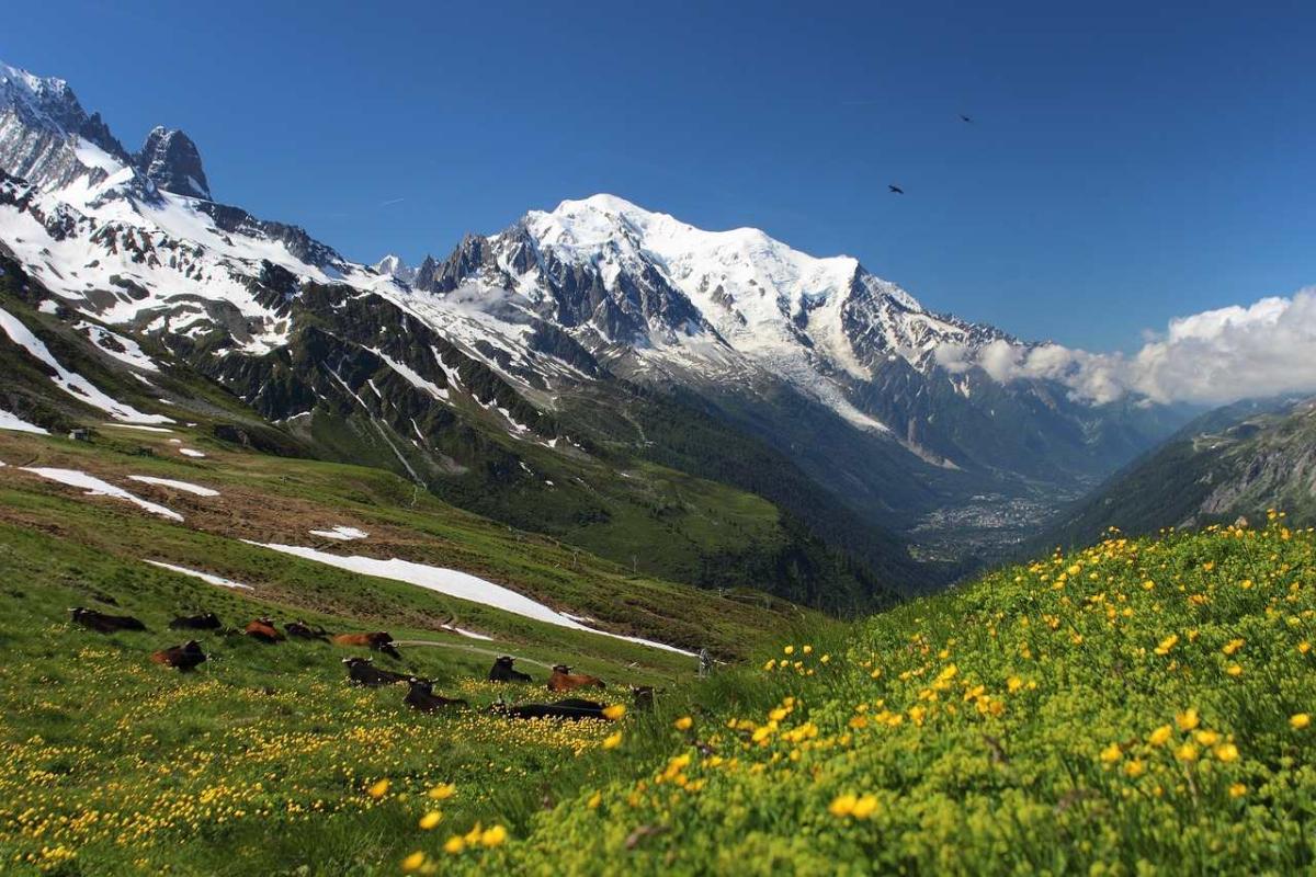 Perché il Monte Bianco si sta abbassando