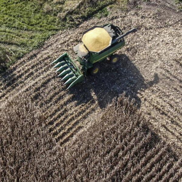 Domanda aiuti Pac, più tempo ai 700mila agricoltori interessati: ecco la scadenza e le novità per accedere ai pagamenti