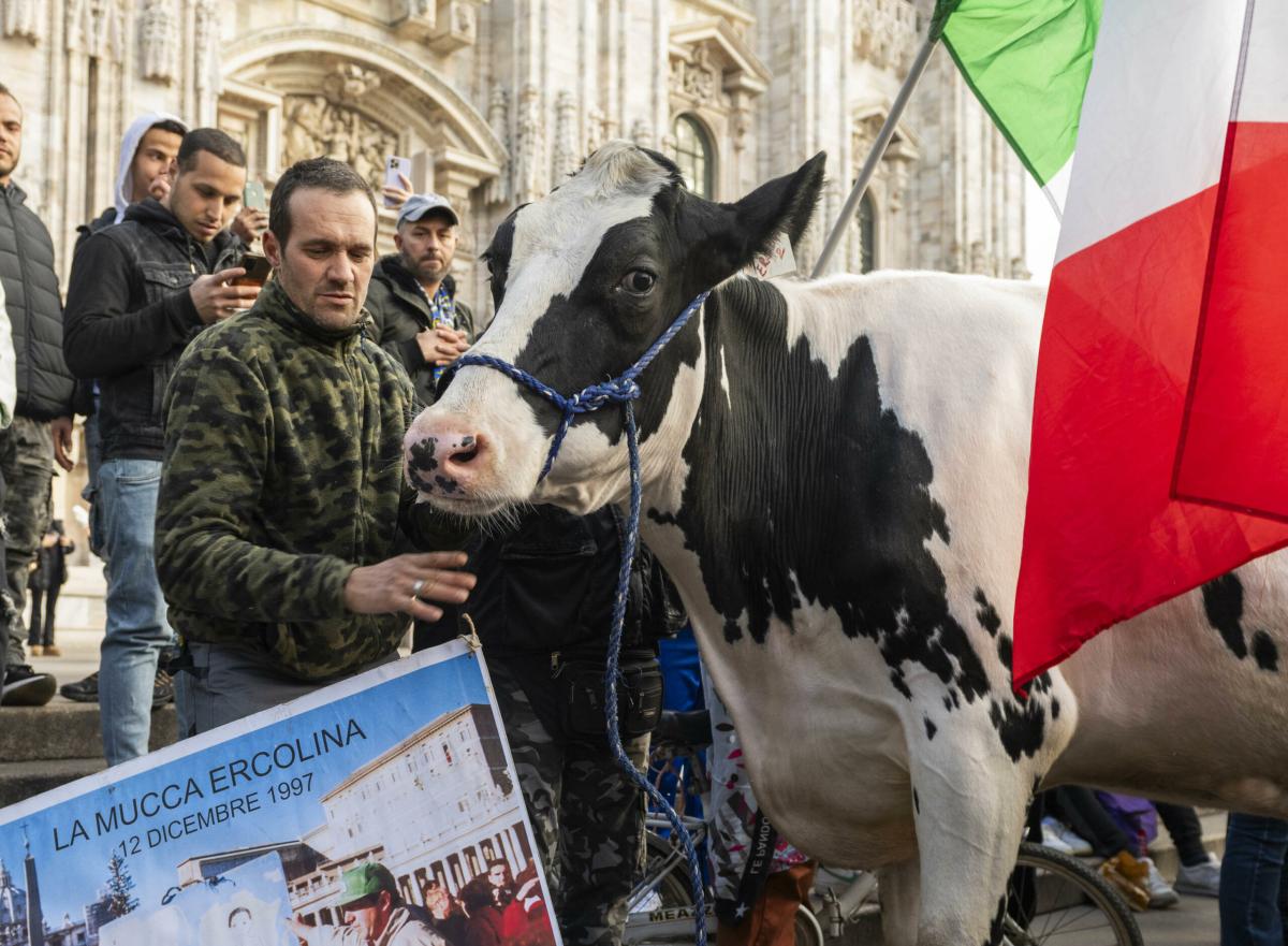 Esenzione Irpef terreni agricoli? Il Governo si arrende e pensa ad una proroga. Emendamenti anche da Lega, FI, Pd e Iv