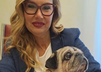 Chi è Puggy, il primo cane in ufficio a Palazzo Madama