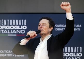 Elon Musk ci ricasca e con un post manda Dogwifhat sulle montagne russe