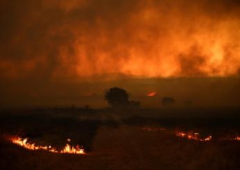 Incendi in Grecia, il bilancio dei morti sale a 21 persone, paese allo stremo