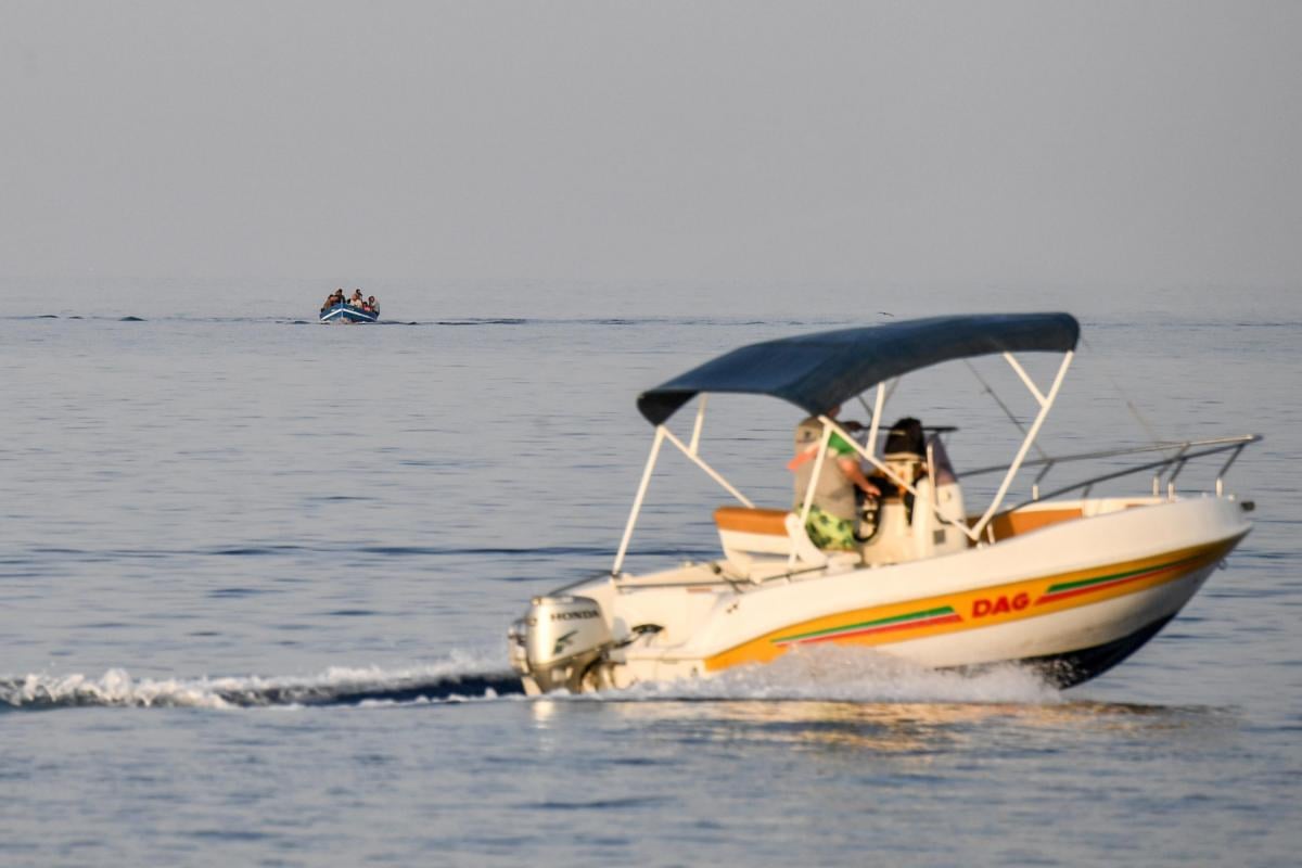 Inquinamento acustico, gli effetti disastrosi sull’oceano