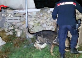 Lecce, nascondeva in casa 3mila euro di droga: arrestato un 23enne