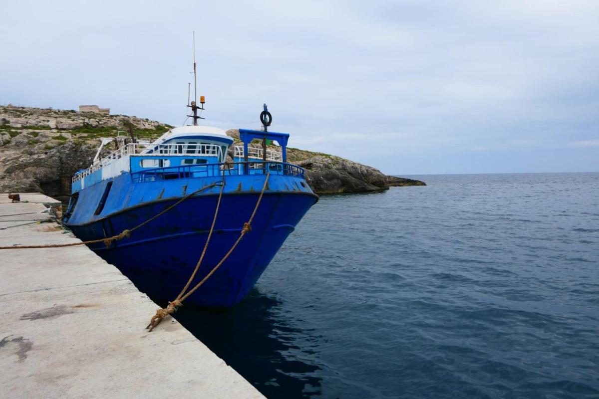 Alarm Phone, 50 migranti alla deriva e 40 dispersi