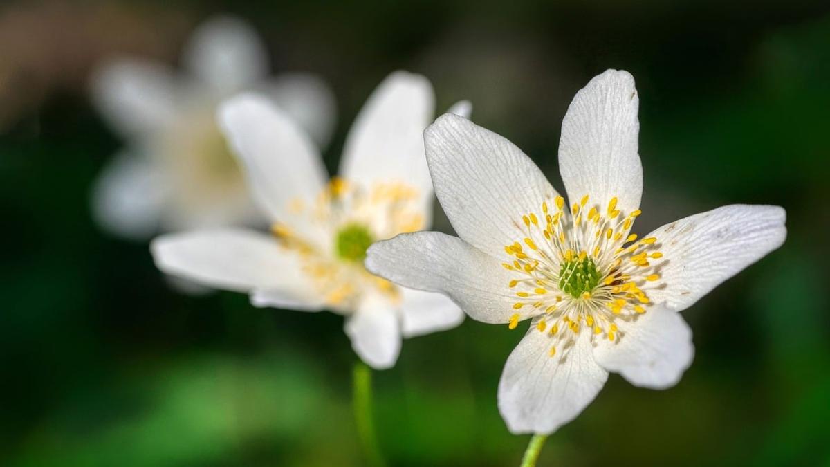 Buongiorno arrivederci aprile 2024: frasi di buon fine mese