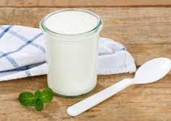 Skyr: il nuovo super food irlandese