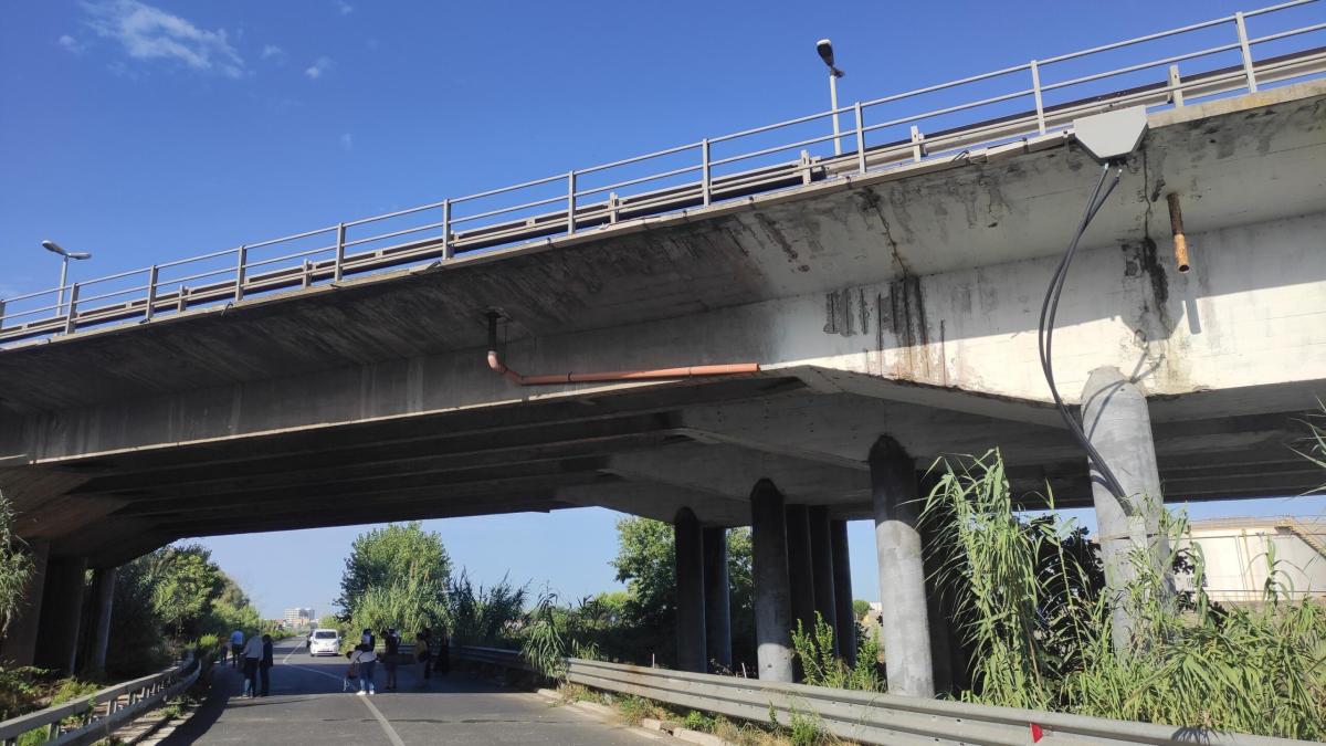 Omicidio a Manduria, 21enne trovato morto sotto un viadotto: fermat…