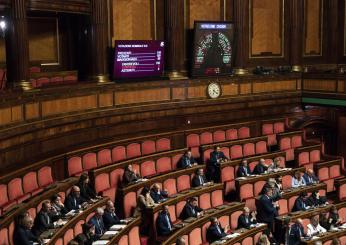 Berlusconi, M5s prenderà parte al minuto di silenzio ma non parlerà alla commemorazione in Senato