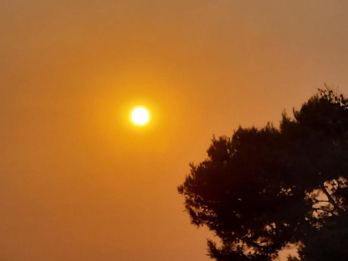 Caldo record in Sardegna, oggi a Jerzu il termometro tocca 48° | FOTO