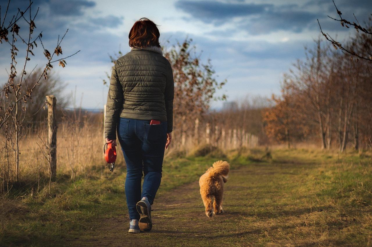 Perché la camminata meditativa fa bene? Benefici, consigli e dove farla