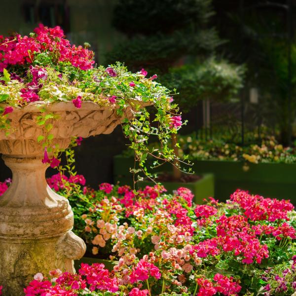 Come pavimentare il giardino senza cemento?