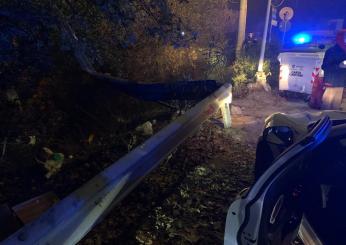 Incidente Trani, auto in una scarpata: muore 21enne di Bisceglie, f…