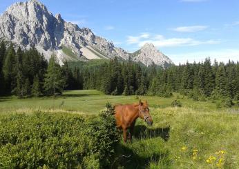 Quali sono i posti iconici del Friuli Venezia Giulia da non perdere in autunno