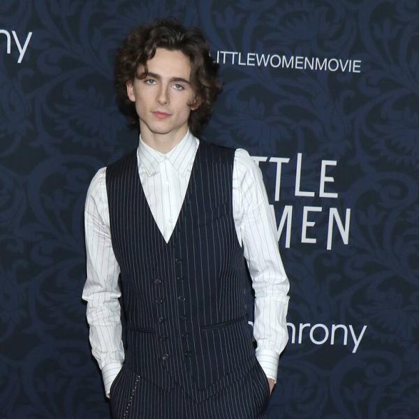 Timothée Chalamet torna in un film di Luca Guadagnino: fuori il trailer