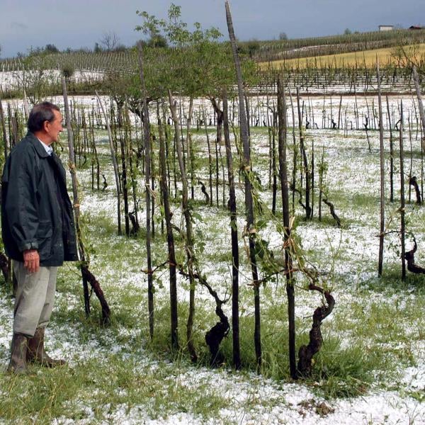 Sos grandine, la Coldiretti lancia l’allarme per le colture dopo il grande caldo