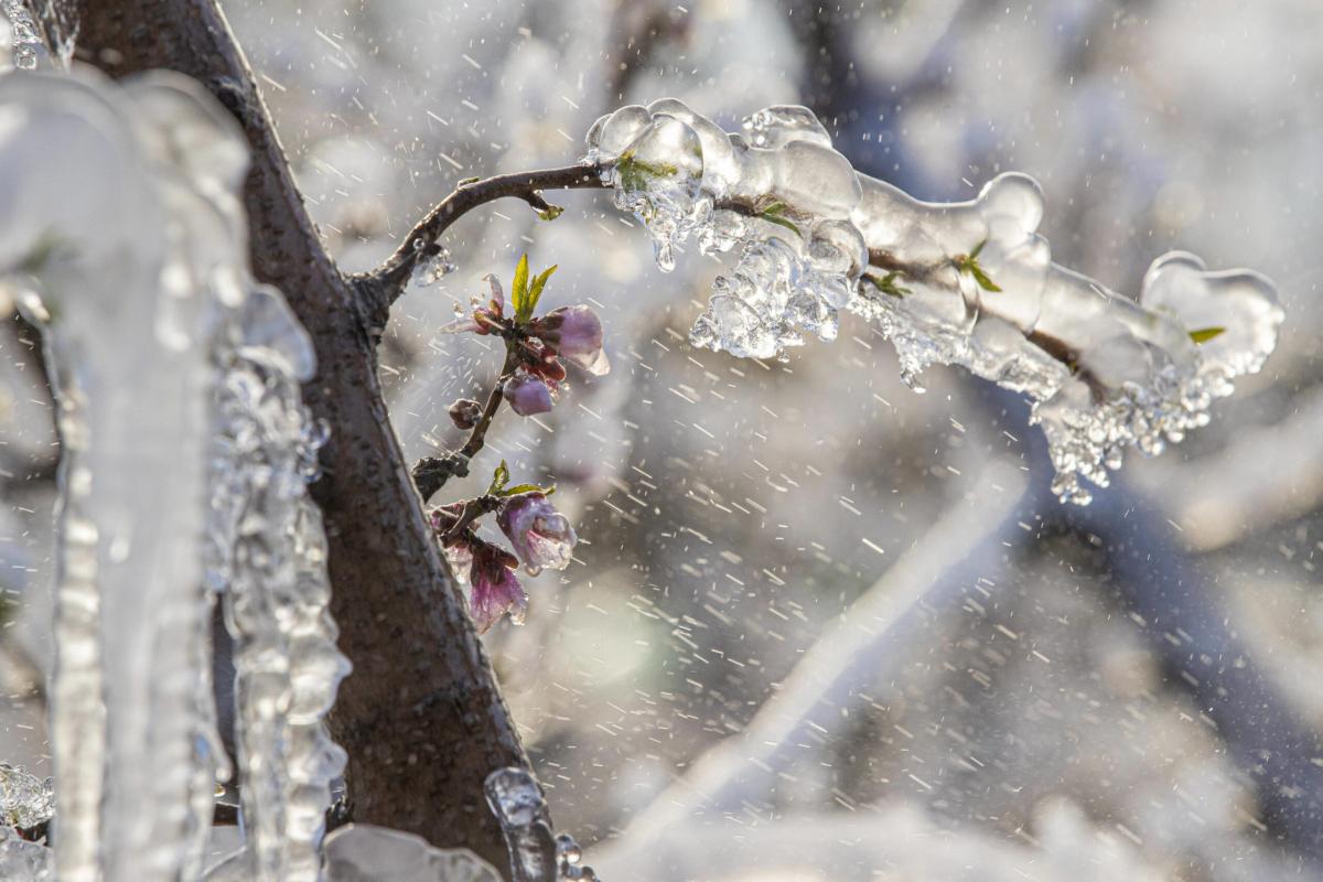 Scoperto nuovo tipo di ghiaccio: come cambia l’acqua che conosciamo