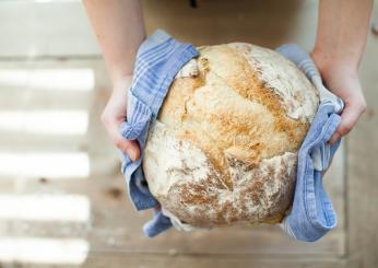 Mangiare pane tutti i giorni, fa male oppure no? Quantità, consigli e controindicazioni