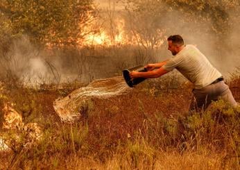 Portogallo in fiamme, roghi e incendi in tutto il paese a causa dei picchi di calore | FOTO E VIDEO