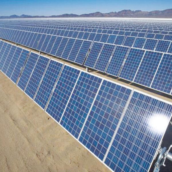 Prestiti agricoltura 2024, domanda fino al 7 giugno per la garanzia Ismea, sostegni al fotovoltaico