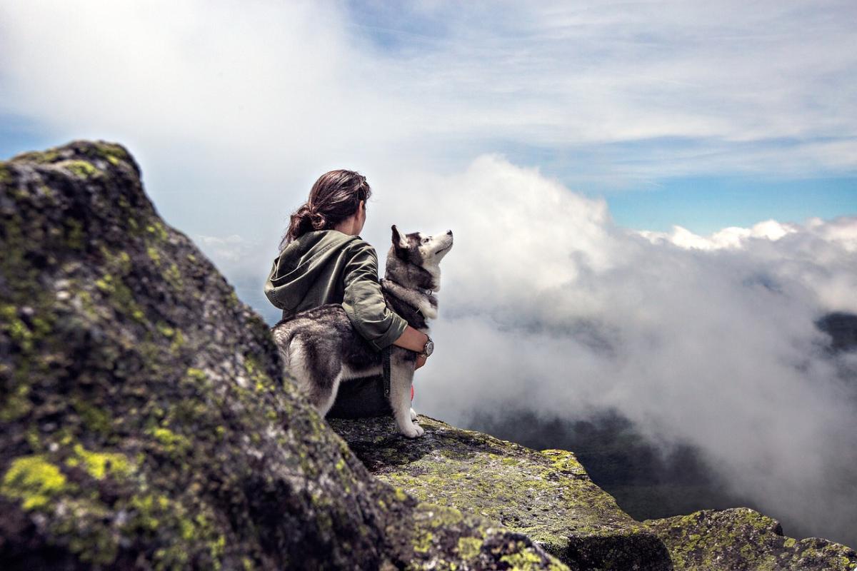 Posso portare il mio cane in montagna? Errori da evitare in alta quota