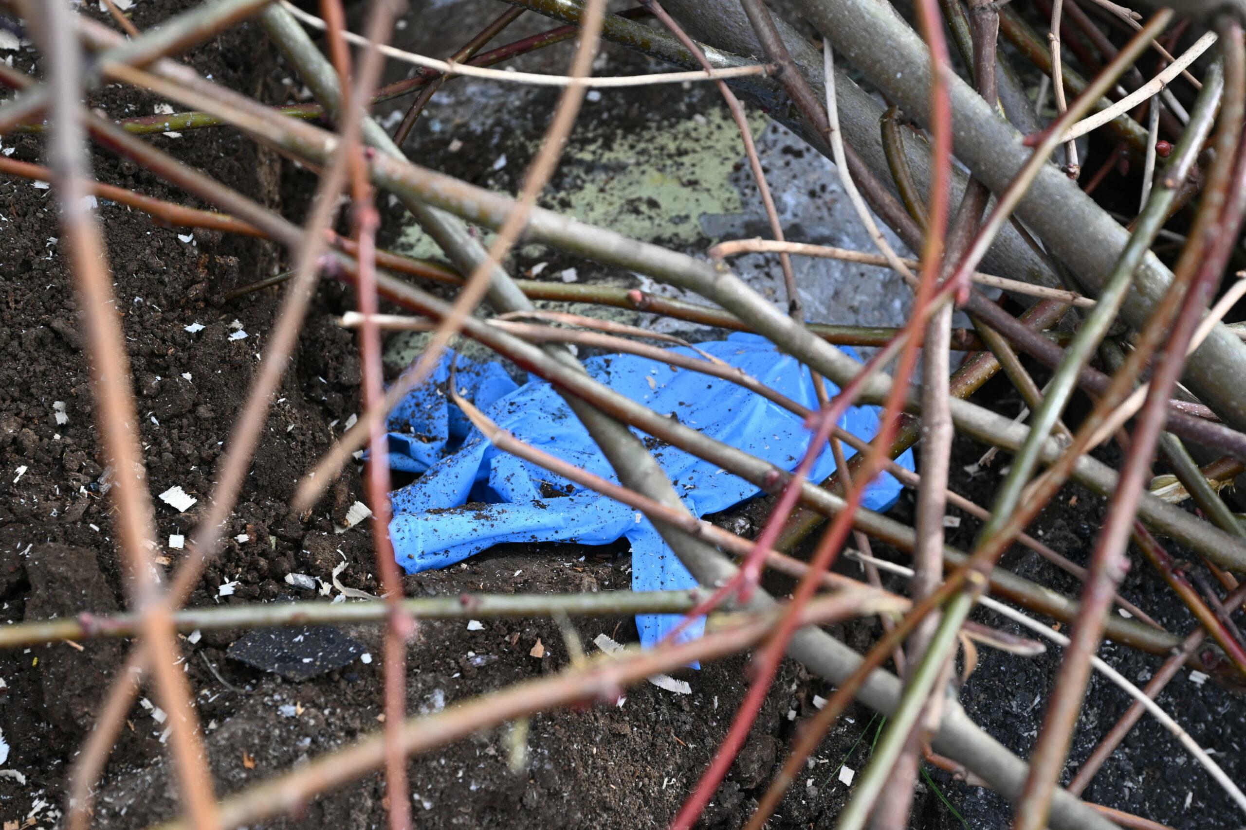 Roma, cade un albero in via Cristoforo Colombo all’altezza di viale Asia: danneggiati due veicoli e ferita una persona