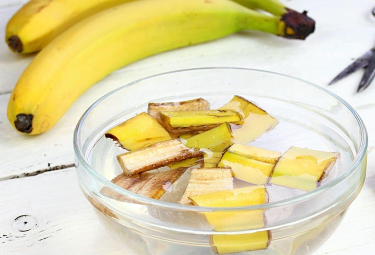 Quali sono i benefici dell’infuso di bucce di banana; vantaggi inaspettati