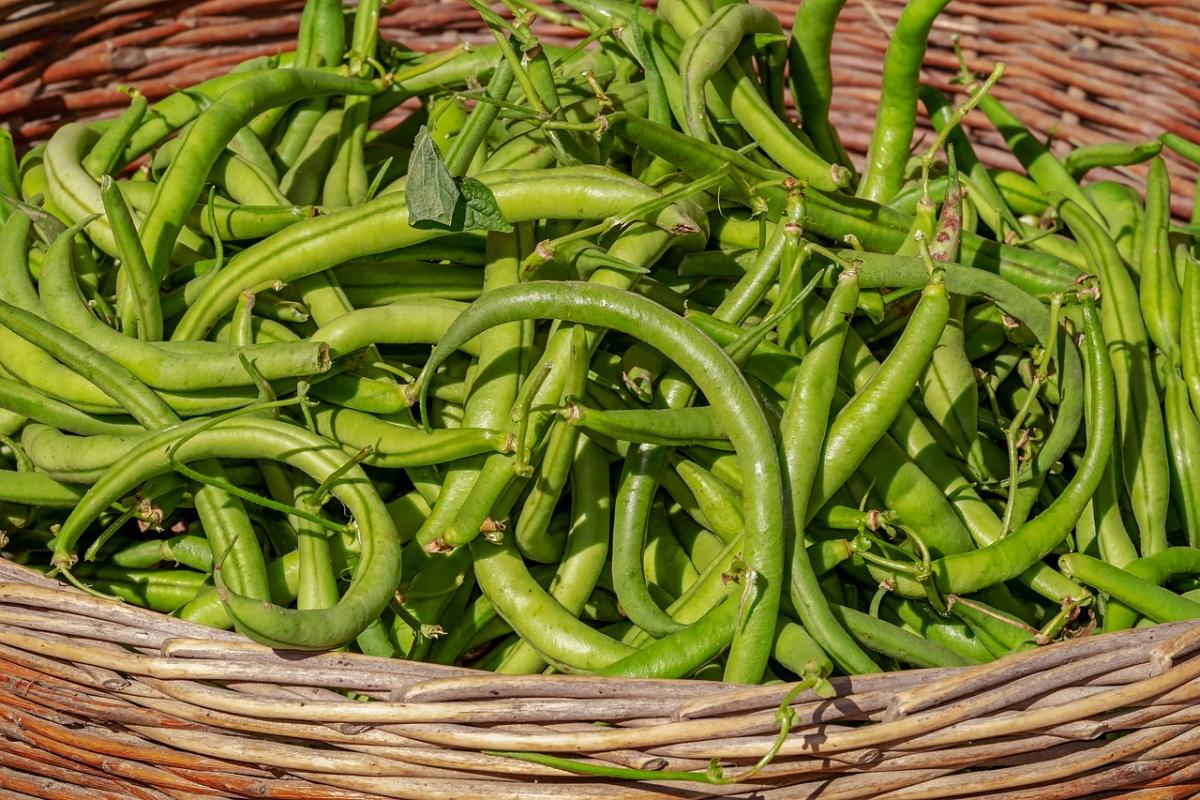 Fanno bene i fagiolini? I cinque benefici per la dieta di tutti i g…