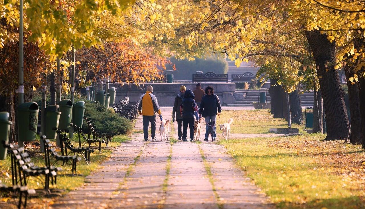 Pensione anticipata Ape sociale: ecco i 23 lavori per cui non varrà la regola dei 63 anni di età