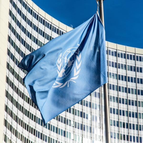 Che cos’è l’ONU in breve? Ecco quali sono gli obiettivi e gli organi principali