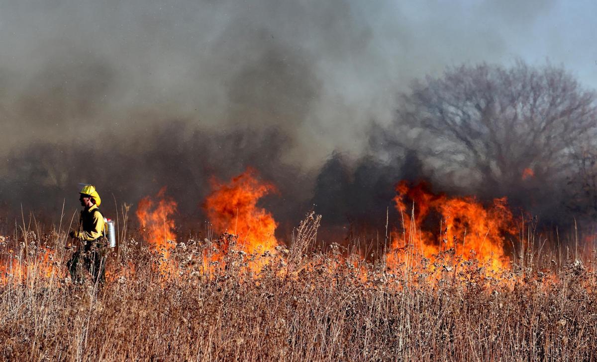 Incendio sul Carso: continui disagi a Trieste e probabile blackout …