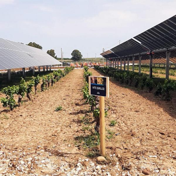 Engie inaugura il più grande parco agrovoltaico d’Italia