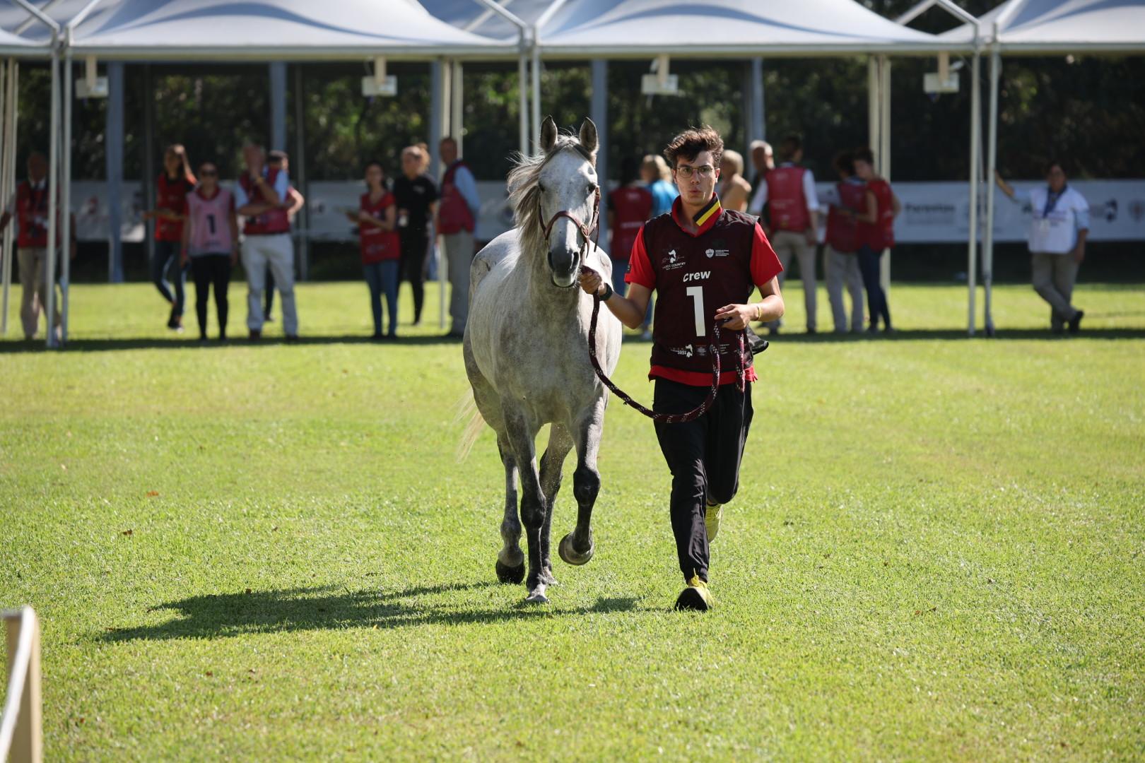 Equitazione, il Mondo ad Arborea per il Sardegna Endurance Festival