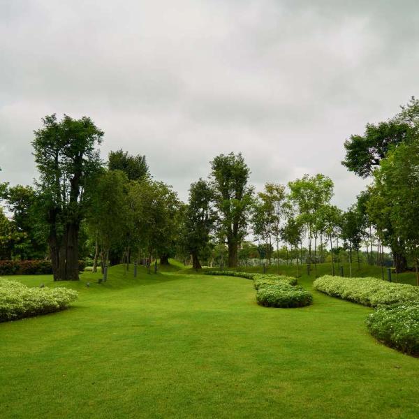 Stare nel verde migliora la salute mentale, anche se lo si fa per pochi minuti al giorno