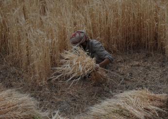 I fertilizzanti azotati sono 265 più potenti della CO2