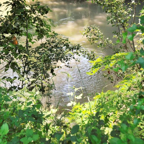 Parco Fluviale dell’Alcantara, tutto quello che c’è da sapere