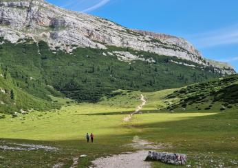 Alto Adige, passo decisivo per l’abbattimento dei lupi. Il governatore Kompatcher: “Si comincia dal 2 settembre”