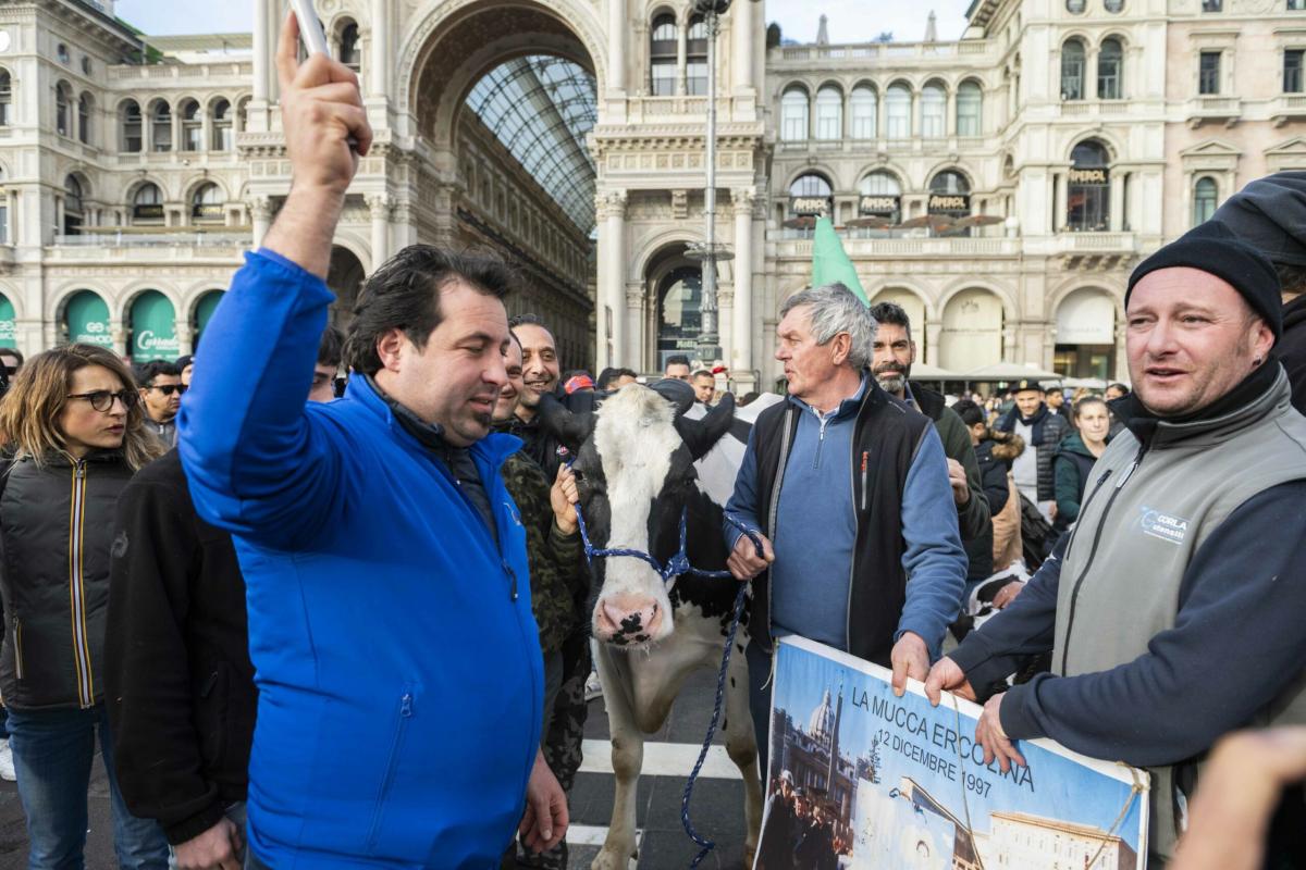 Agricoltori, maggioranza divisa: la Lega con Centinaio chiede di intervenire sull’Irpef. Donzelli e Barelli accusano l’Europa| VIDEO