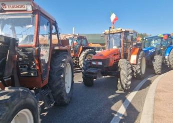 Proteste agricoltori, le iniziative di Alternativa Popolare contro la crisi del settore. Ronza (coord. Cuneo): “Agire sulla filiera e parlare con gli operatori per risultati concreti”