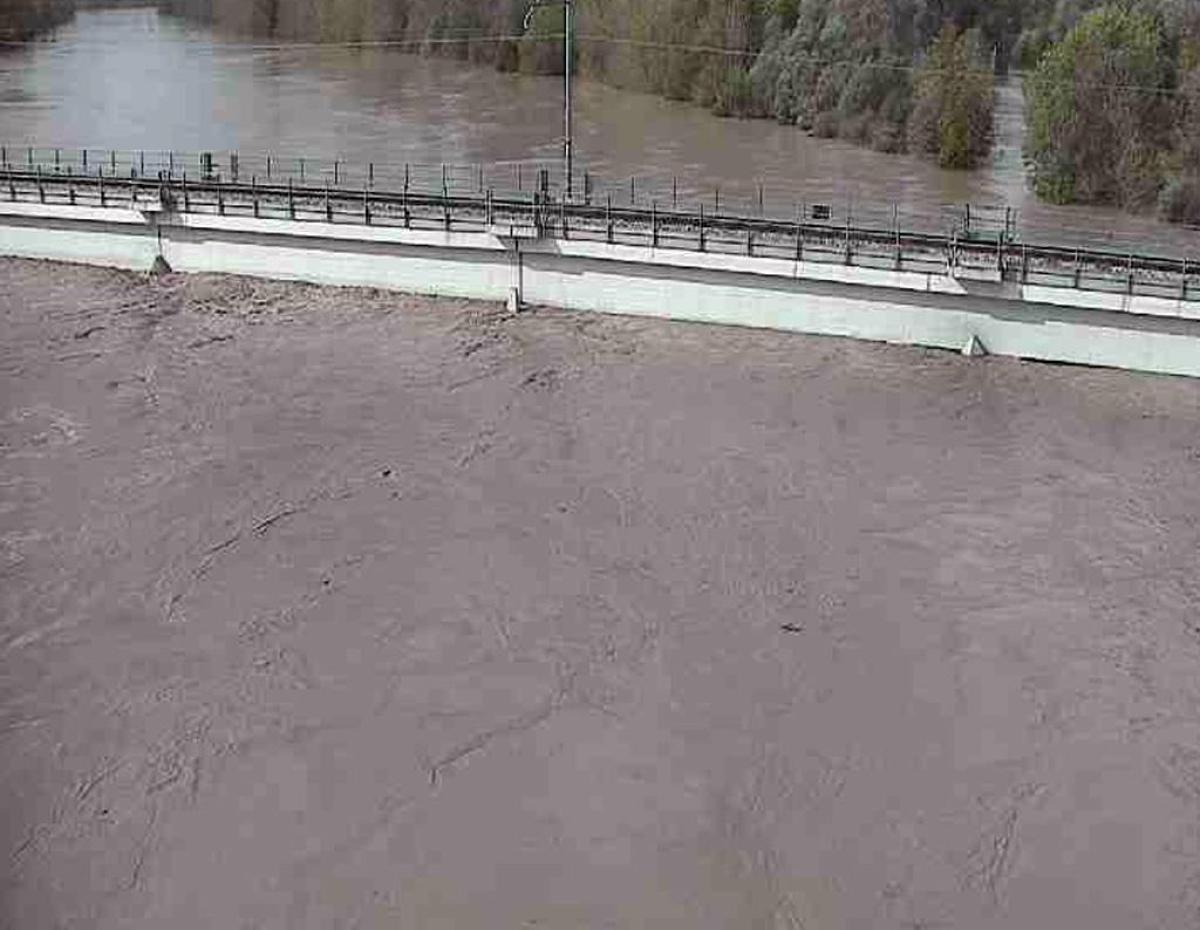 Alex Marangon scomparso da Vidor, nel Trevigiano: ritrovato il cadavere il barman su un isolotto del fiume Piave