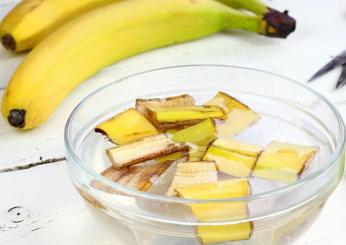 Quali sono i benefici dell’infuso di bucce di banana; vantaggi inaspettati