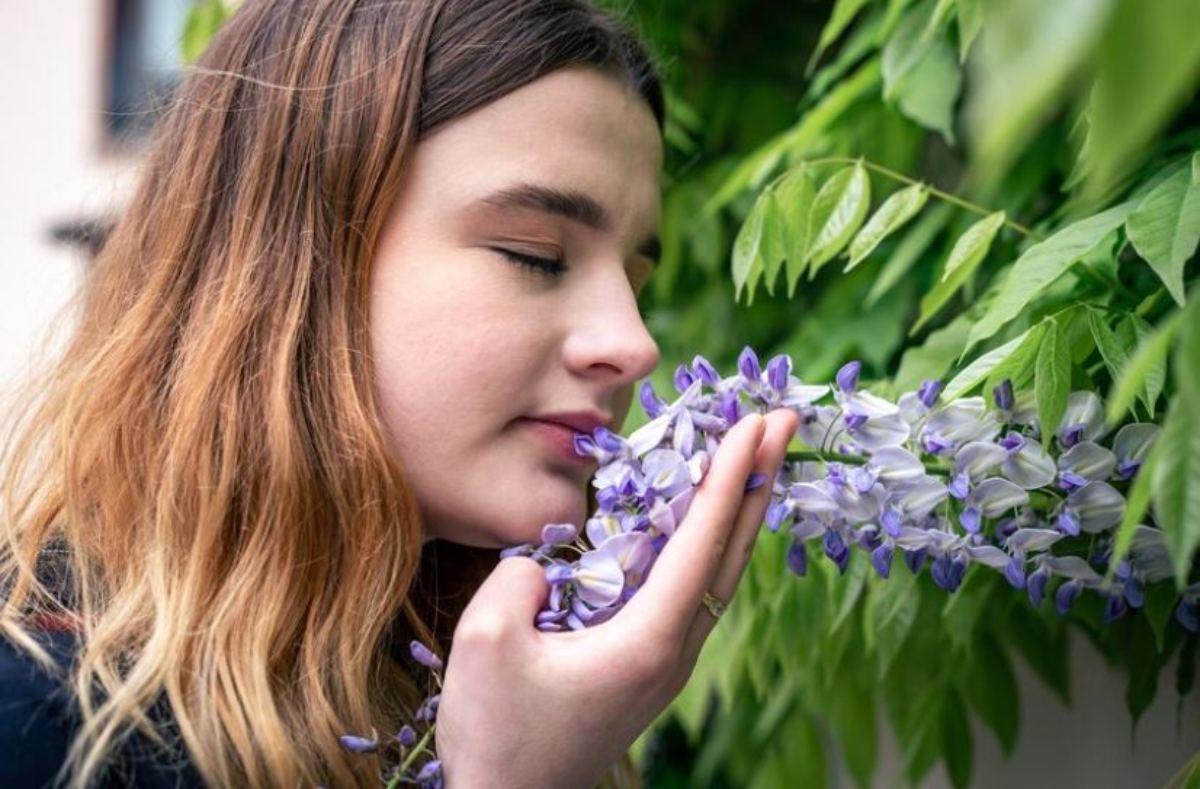 Non sentire più gli odori: l’anosmia è temporanea o permanente? Come si cura?