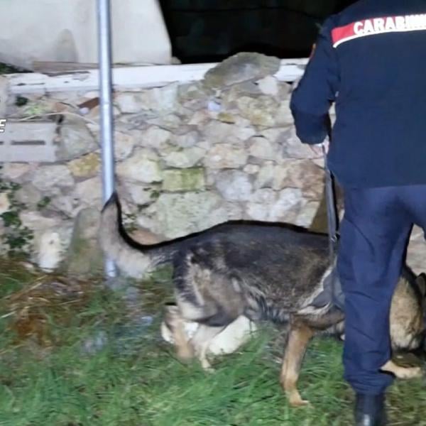 Lecce, nascondeva in casa 3mila euro di droga: arrestato un 23enne