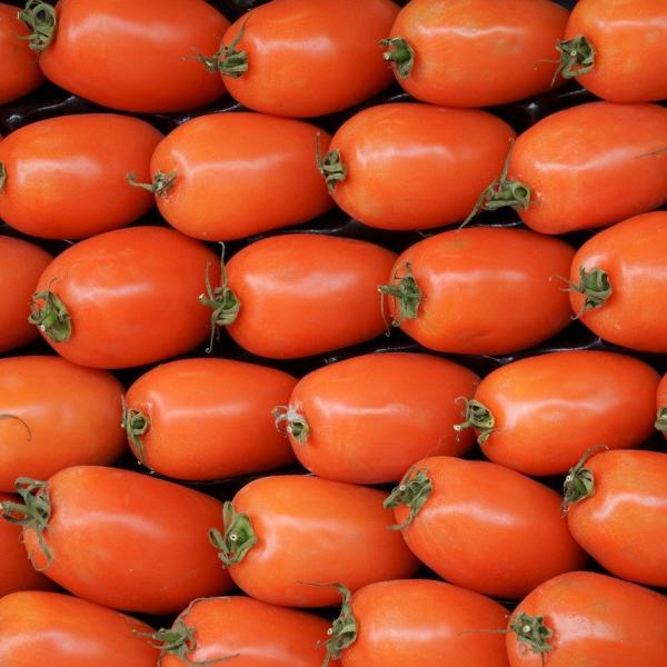 Italia vera: la passata di pomodoro fatta in casa