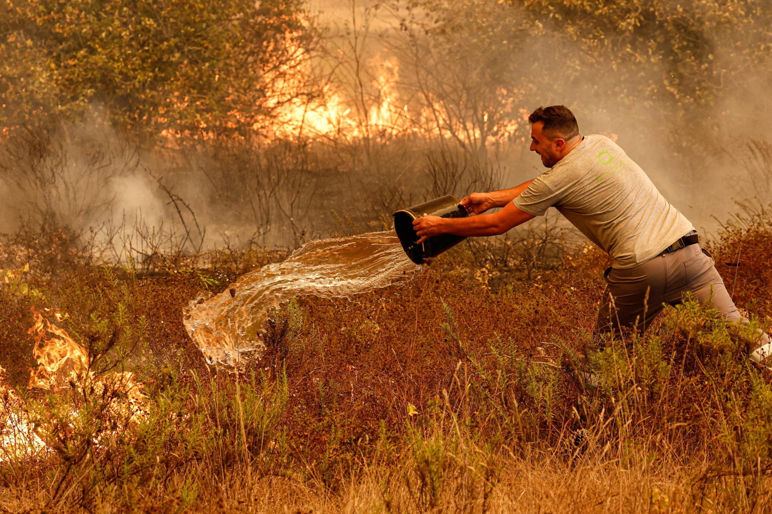 Portogallo in fiamme, roghi e incendi in tutto il paese a causa dei picchi di calore | FOTO E VIDEO