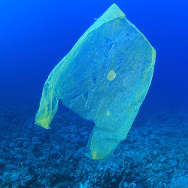 L’inquinamento nell’ambiente marino