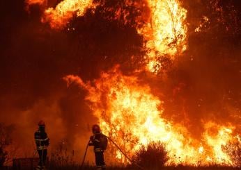 Incendi in Italia, i numeri del 2023 sono da incubo: bruciati migliaia di ettari Sicilia e Calabria le regioni più colpite